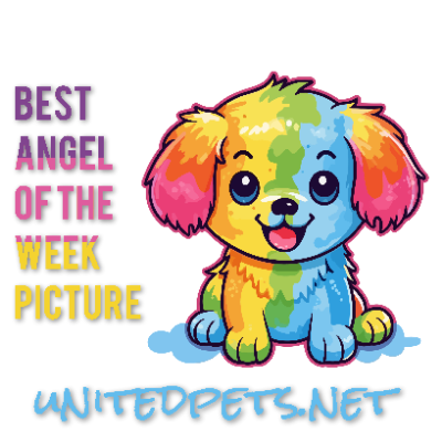 a best aotw picture award